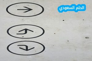 القيمة الثنائية للحرف a هي 00010110 وهذه القيمة هي نفسها للحرف a