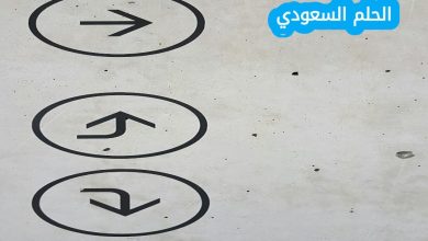 القيمة الثنائية للحرف a هي 00010110 وهذه القيمة هي نفسها للحرف a