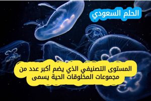 المستوى التصنيفي الذي يضم أكبر عدد من مجموعات المخلوقات الحية يسمى