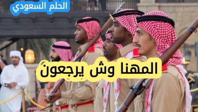 المهنا وش يرجعون، اصل عائلة المهنا
