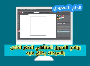 مميزات برنامج التمويل المتناهي الصغر للسيدات