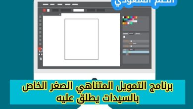 مميزات برنامج التمويل المتناهي الصغر للسيدات