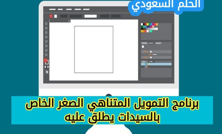 مميزات برنامج التمويل المتناهي الصغر للسيدات