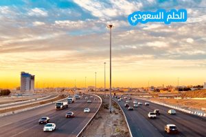 تأتي المملكة العربية السعودية في المركز الاول بين الدول العربية من حيث المساحة