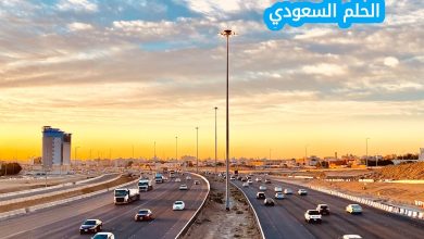تأتي المملكة العربية السعودية في المركز الاول بين الدول العربية من حيث المساحة
