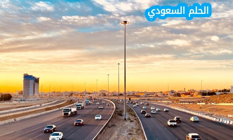 تأتي المملكة العربية السعودية في المركز الاول بين الدول العربية من حيث المساحة