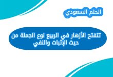 تتفتح الأزهار في الربيع نوع الجملة من حيث الإثبات والنفي