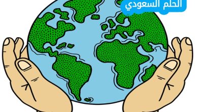 تصنف الأقاليم التضاريسية بحسب تنوع (1 نقطة)
