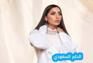 من هي دينا الشربيني ويكيبيديا