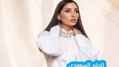 من هي دينا الشربيني ويكيبيديا