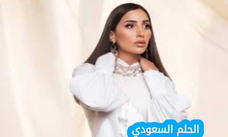 من هي دينا الشربيني ويكيبيديا