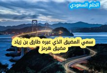 سمي المضيق الذي عبره طارق بن زياد مضيق هرمز (1 نقطة)
