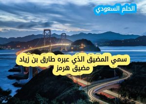 سمي المضيق الذي عبره طارق بن زياد مضيق هرمز (1 نقطة)