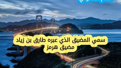 سمي المضيق الذي عبره طارق بن زياد مضيق هرمز (1 نقطة)