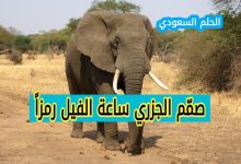 صمّم الجزري ساعة الفيل رمزاً