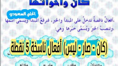 كان صار ليس أفعال ناسخة