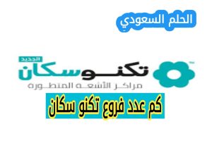 كم عدد فروع تكنو سكان