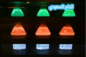 لا تستطيع العلوم الإجابة عن الأسئلة بحزم دائماً لاكتشاف معلومات جديدة