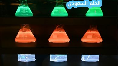 لا تستطيع العلوم الإجابة عن الأسئلة بحزم دائماً لاكتشاف معلومات جديدة