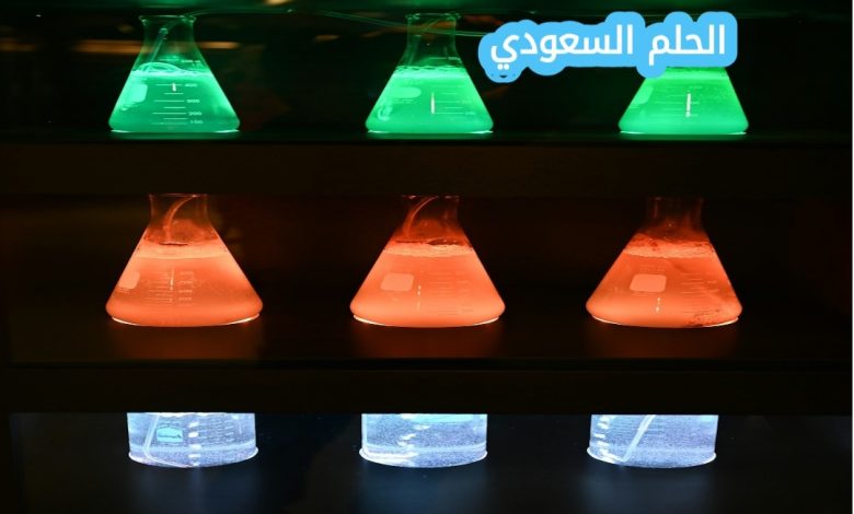 لا تستطيع العلوم الإجابة عن الأسئلة بحزم دائماً لاكتشاف معلومات جديدة