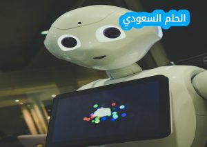 ما الذي يمكّن الذكاء الاصطناعي من التعرف على الأنماط وإجراء التوقعات والتعلم من التجارب السابقة