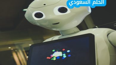 ما الذي يمكّن الذكاء الاصطناعي من التعرف على الأنماط وإجراء التوقعات والتعلم من التجارب السابقة