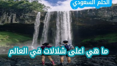 مميزات شلال آنجل