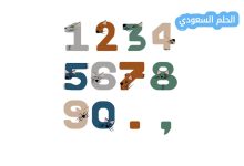 الأعداد الأولية من 1 إلى 100