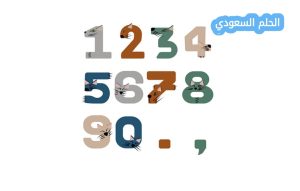 الأعداد الأولية من 1 إلى 100