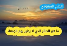 لغز الطائر الذي لا يطير يوم الجمعة