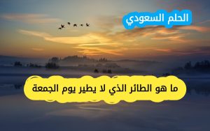 لغز الطائر الذي لا يطير يوم الجمعة