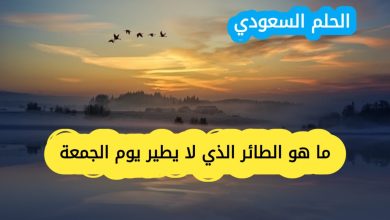 لغز الطائر الذي لا يطير يوم الجمعة