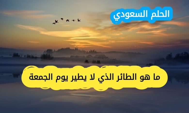لغز الطائر الذي لا يطير يوم الجمعة