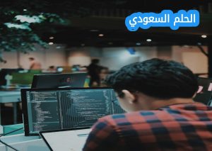 يمكن استخدام التعلم الآلي لعدة أغراض، بما في ذلك