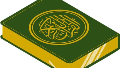 معنى قوله تعالى للذين أحسنوا الحسنى وزيادة الزيادة هو