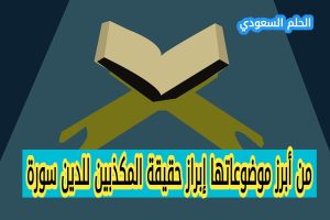 من أبرز موضوعاتها إبراز حقيقة المكذبين للدين سورة 