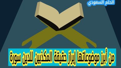 من أبرز موضوعاتها إبراز حقيقة المكذبين للدين سورة