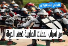 1. من أسباب الحملات الصليبية ضعف الدولة