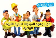 من الجهود المبذولة لتنمية الثروة الزراعية