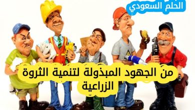 من الجهود المبذولة لتنمية الثروة الزراعية