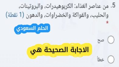 من عناصر الغذاء الكربوهيدرات والبروتينات والحليب والفواكة والخضراوات والدهون