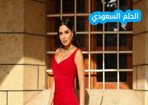 من هي سيرين عبد النور ويكيبيديا 