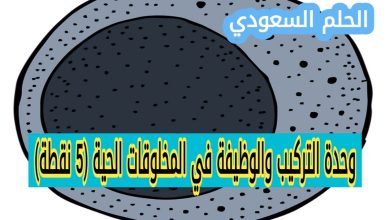 وحدة التركيب والوظيفة في المخلوقات الحية (5 نقطة)