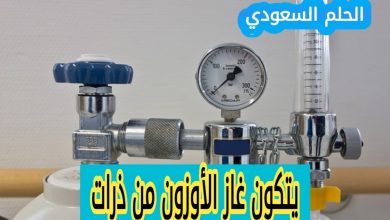 يتكون غاز الأوزون من ذرات
