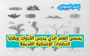 يسمى العلم الذي يدرس الأدوات وبقايا الحضارات الإنسانية القديمة