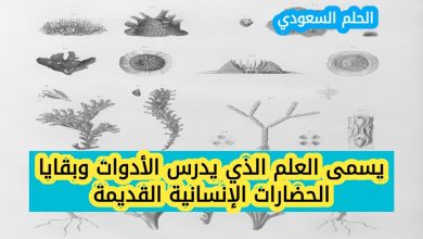 يسمى العلم الذي يدرس الأدوات وبقايا الحضارات الإنسانية القديمة