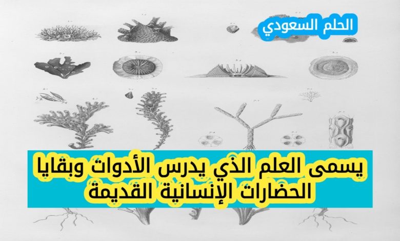 يسمى العلم الذي يدرس الأدوات وبقايا الحضارات الإنسانية القديمة