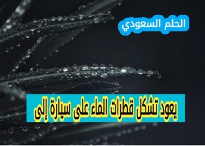 يعود تشكل قطرات الماء على سيارة إلى