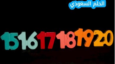 يمكن كتابة العدد سبعة عشر بليونا وثلاث مئة وسبعون ألفا وأربع مئة بالصيغة القياسية كالآتي