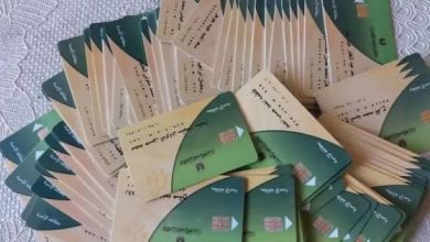وزارة التضامن الاجتماعي تطلق خدمة استعلام بالرقم القومي لتكافل وكرامة 2025 للنساء والأسر المستحقة